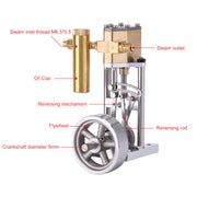 V1313 Mini Vertical Single-Cylinder Steam Engine Model with Reversing Mechanism Steam-Powered Mechanical Model - EngineDIY
