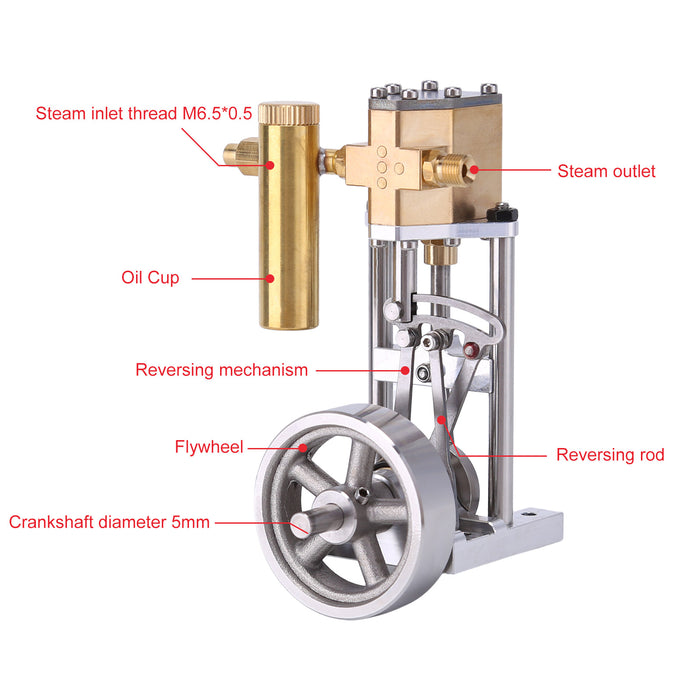 V1313 Mini Vertical Single-Cylinder Steam Engine Model with Reversing Mechanism Steam-Powered Mechanical Model