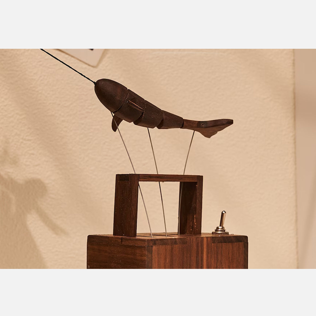 wooden whale music box dynamic model