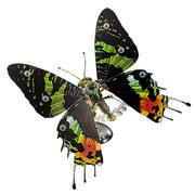 3D Metal Mechanical Steampunk Butterfly Model Kit - EngineDIY