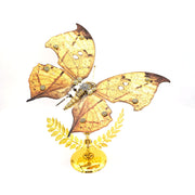 3D Mechanical Butterfly Assembly Model Kit for Art Collectors - EngineDIY