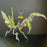 3D Metal Mechanical Mantis DIY Assembly Insect Model Kits Creative Ornaments-1000+PCS