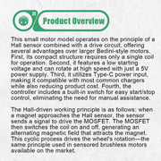 Small Hall Sensor Motor Model - Brushless Ferris Wheel Demonstrator, Bedini Style - Low Power Consumption High Speed Tech Desk Decor - EngineDIY