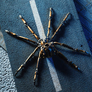 mechanical widow spider model with movable joints high-end gift for him