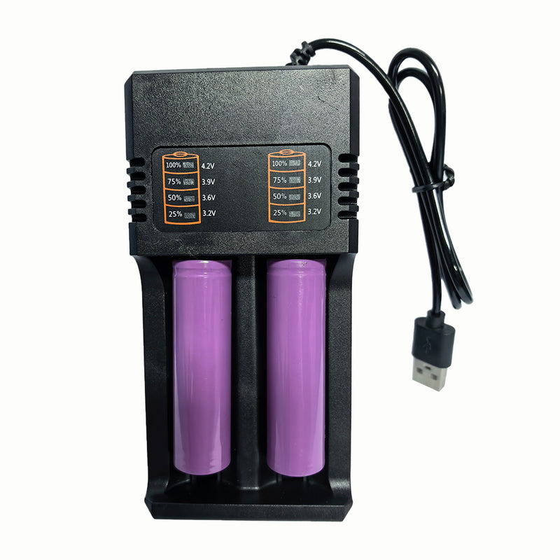 USB Intelligent Fast Charger for 3.7V/4.2V 18650 Lithium Batteries - EngineDIY