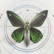 3D Metal Mechanical Steampunk Butterfly Model Kit - EngineDIY