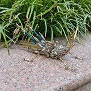 3D Metal Mechanical Grasshopper Model Kit 