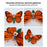 DIY Assembly Mechanical Insect Model Kits Handmade Scientific Toy Set with Voice-activated Photo Frame - Butterfly (Random Color)