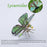 3D Metal Butterfly Model Kit, 3 In 1 Steampunk Butterfly (200PCS+/Green) - Chrysiridia Rhipheus, Ornithoptera Meridionalis & Chrysozephyrus