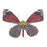 3D Metal Butterfly Model Kit: Steampunk Morpho Menelaus Papilio Memnon Anthocharis Scolymus Caligo Eurilochus Diaethria Anna Calydonia Chrysozephyrus Greta Oto Glasswing Butterfly
