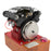 4Pcs Toyan V400 Exhaust Manifold Accessory Part- Enginediy - enginediy