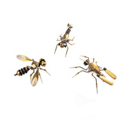 270Pcs Steampunk Insect Metal Model Kits Mechanical Crafts for Home Decor - Mosquito + Deck Insect + Bee Trinity - EngineDIY