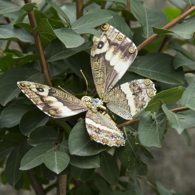 Steampunk 3D Butterfly Model Metal Puzzle DIY Assembly Kit for Kids, Teens and Adults (150PCS+) - EngineDIY