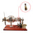 20Pcs Replace Gas Nozzles for 16 Cylinder Stirling Engine Glass Quartz