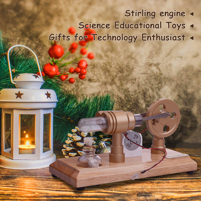 ENJOMOR Gamma Hot Air Stirling Engine External Combustion Engine Model with LED Light