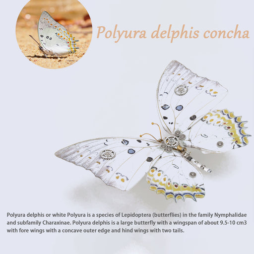 3D Metal Butterfly Model Kit, 3 In 1 Steampunk Butterfly (200PCS+/White) - Sericinus Montelus Grey, Polyura Delphis Concha & Hebomoia Glaucippe