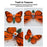 DIY Assembly Mechanical Insect Model Kits Handmade Scientific Toy Set with Voice-activated Photo Frame - Butterfly (Random Color)